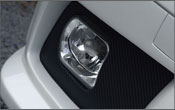 Volkswagen Fog Light Protection