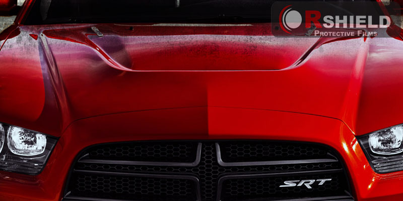 Paint Protection Paint Protection